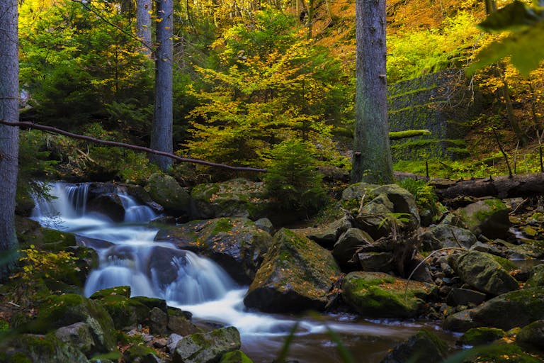 Serene stream flowing through a moss-covered forest, captured in vibrant autumn colors.